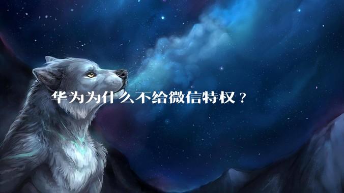 华为为什么不给微信特权?