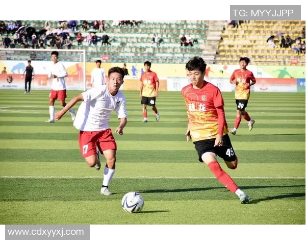 谷子：足球之光闪耀绿茵场