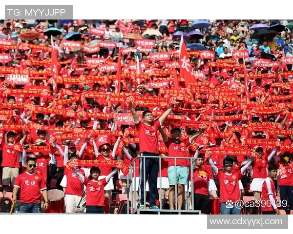 足球传奇再获殊荣 多位球星荣膺国家勋章见证辉煌时刻 足球传奇再获殊荣 多位球星荣膺国家勋章见证辉煌时刻