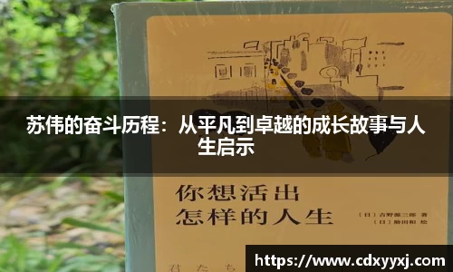 苏伟的奋斗历程：从平凡到卓越的成长故事与人生启示