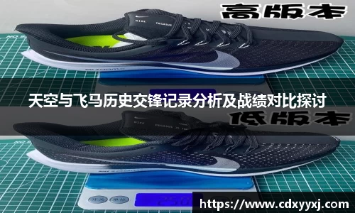 天空与飞马历史交锋记录分析及战绩对比探讨